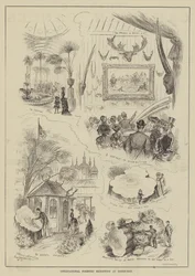 Internationale Forstausstellung in Edinburgh